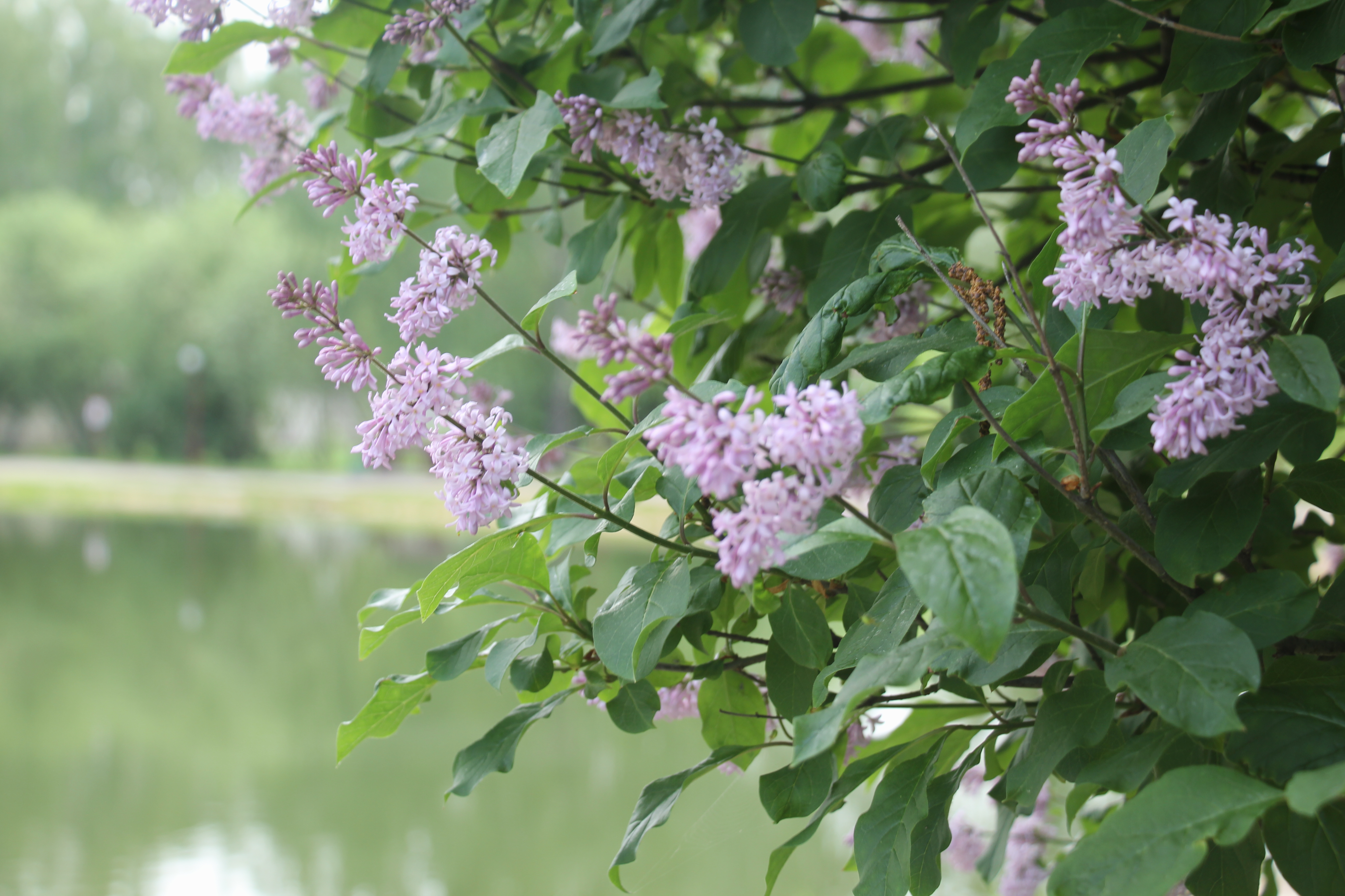 ПОЛИТИКА ОБРАБОТКИ ПЕРСОНАЛЬНЫХ ДАННЫХ